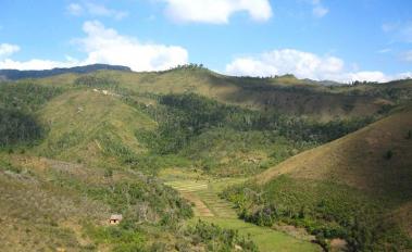 Ethanol stoves to reduce deforestation in Madagascar