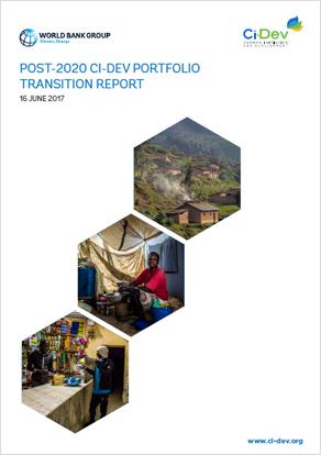 Post-2020 Portfolio Transition Report