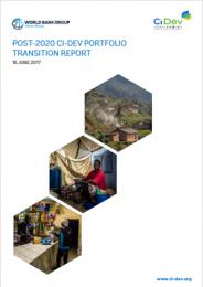 Post-2020 Portfolio Transition Report