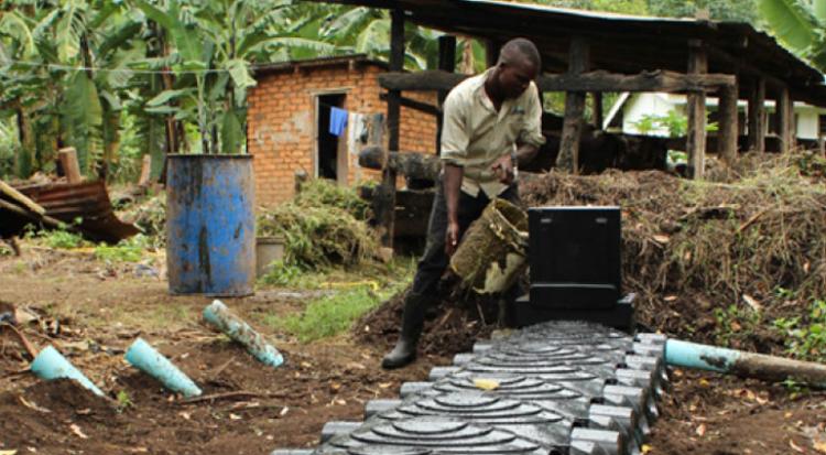 Bringing Better Biodigesters and Clean Energy to Africa